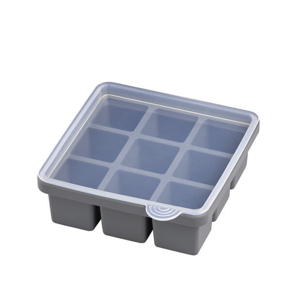 APS Eiswürfelform, 2er Set  15,5 x 15,5 cm, H: 5,5 cm