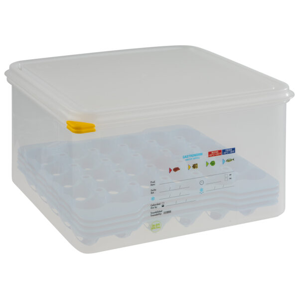 APS GN 2/3 Eier-Box  35,4 x 32,5 cm, H: 20 cm