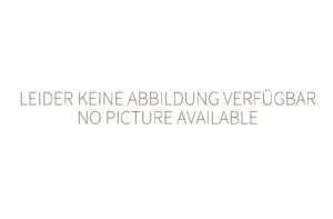 Neumärker Ersatz-Aktivkohlefilter für Mobile Abzugshaube