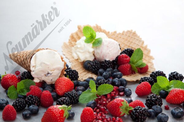 Neumärker Neumärker Waffeleisen Thermocook® inkl. Eiswaffel Wechselplatten – Bild 5