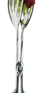 APS APS Universalzange  Gesamtlänge: 25 cm