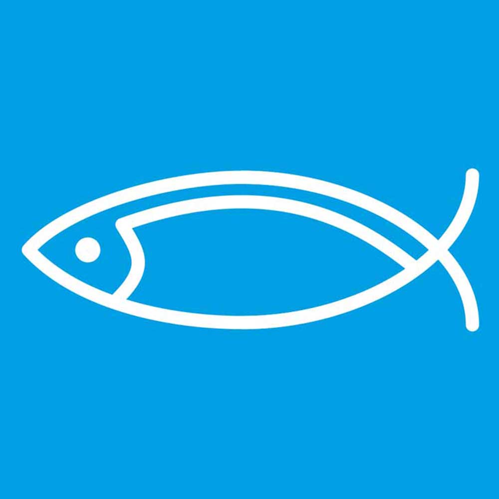 STALGAST Stalgast Kochmesser, HACCP, Griff blau, Edelstahlklinge 25 cm – Bild 2