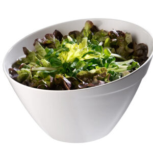 APS APS Schale -BALANCE-  Ø 24,5 cm, H: 15 cm