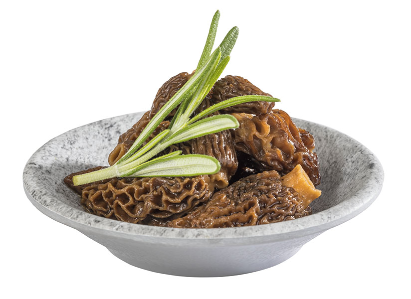 APS 24 Stück: APS Schale -ELEMENT- Ø 8 cm, H: 2 cm – Bild 3