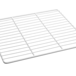 Arktic Arktic, Regal