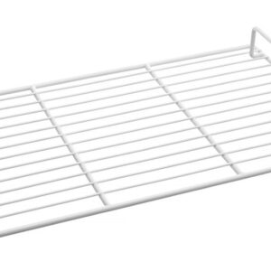 Arktic Arktic, Regal